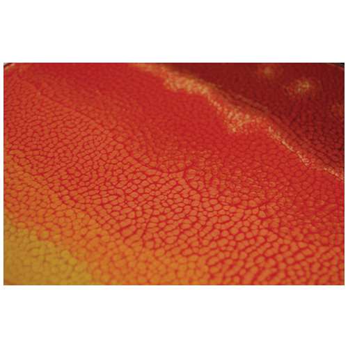 Pebeo Fantasy Prism - 6 x 20ml